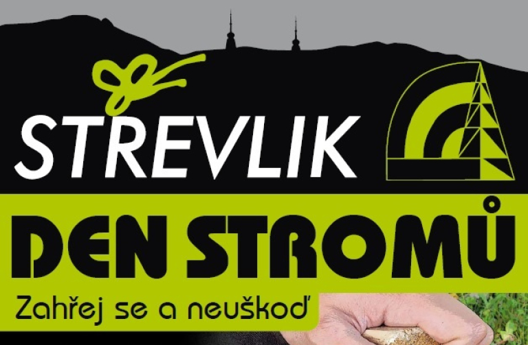 Den stromů je letos poprvé v Hejnicích